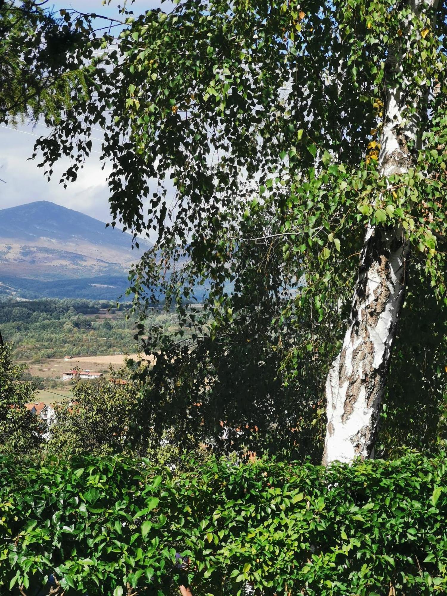 Vila Breza Soko Banja Rom bilde